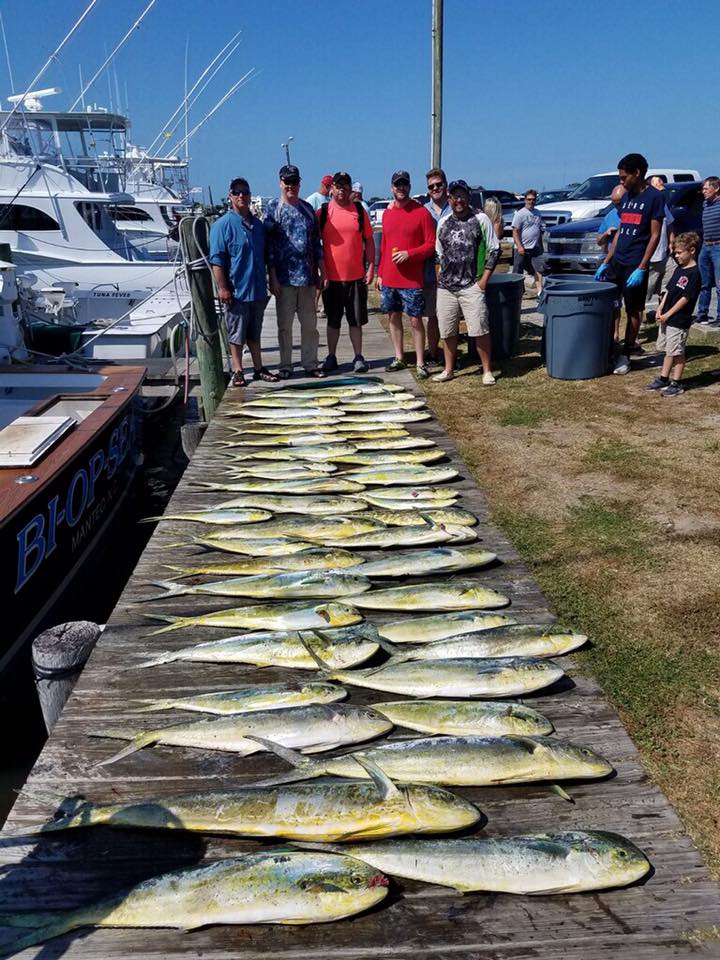 Charter Fishing Outer Banks