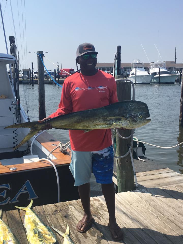 Obx charter fishing dolphin