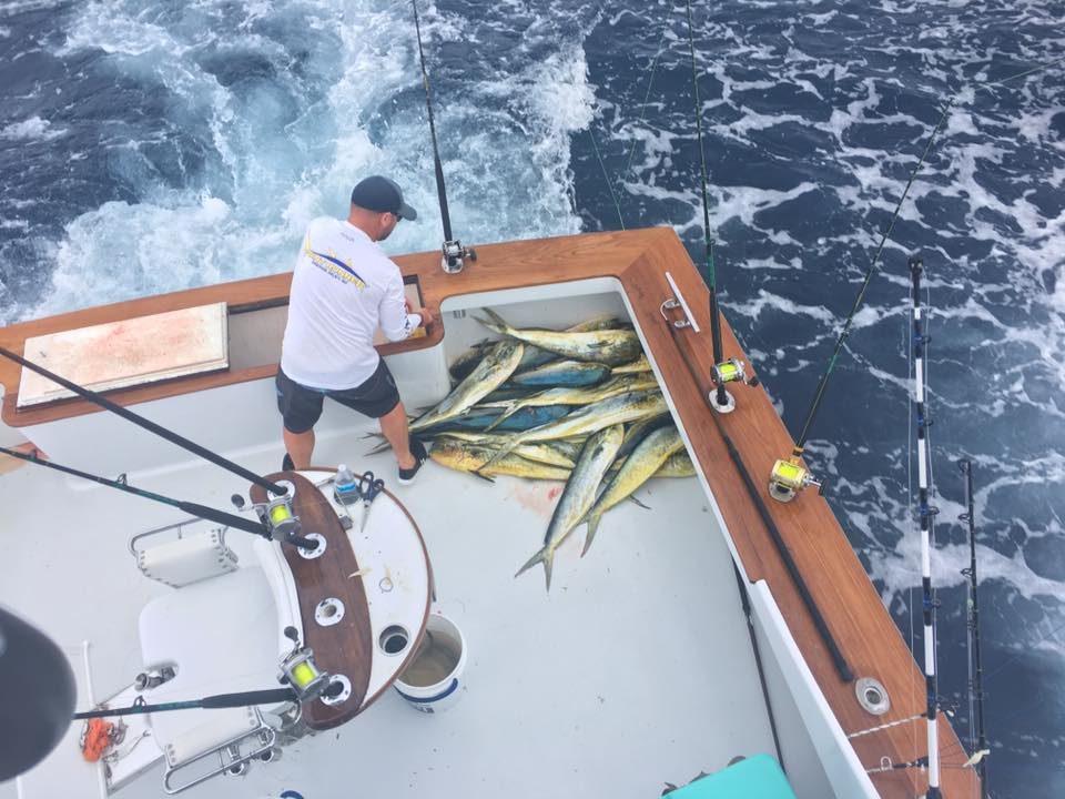 Outer Banks charter fishing